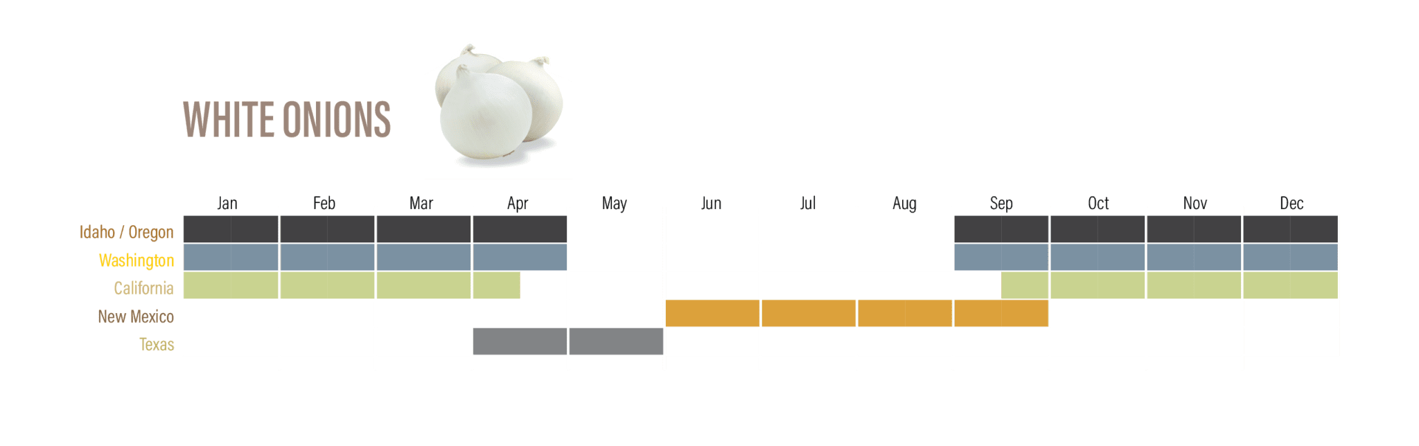 OnionAvailabilityCharts-05 OnionAvailabilityCharts-05