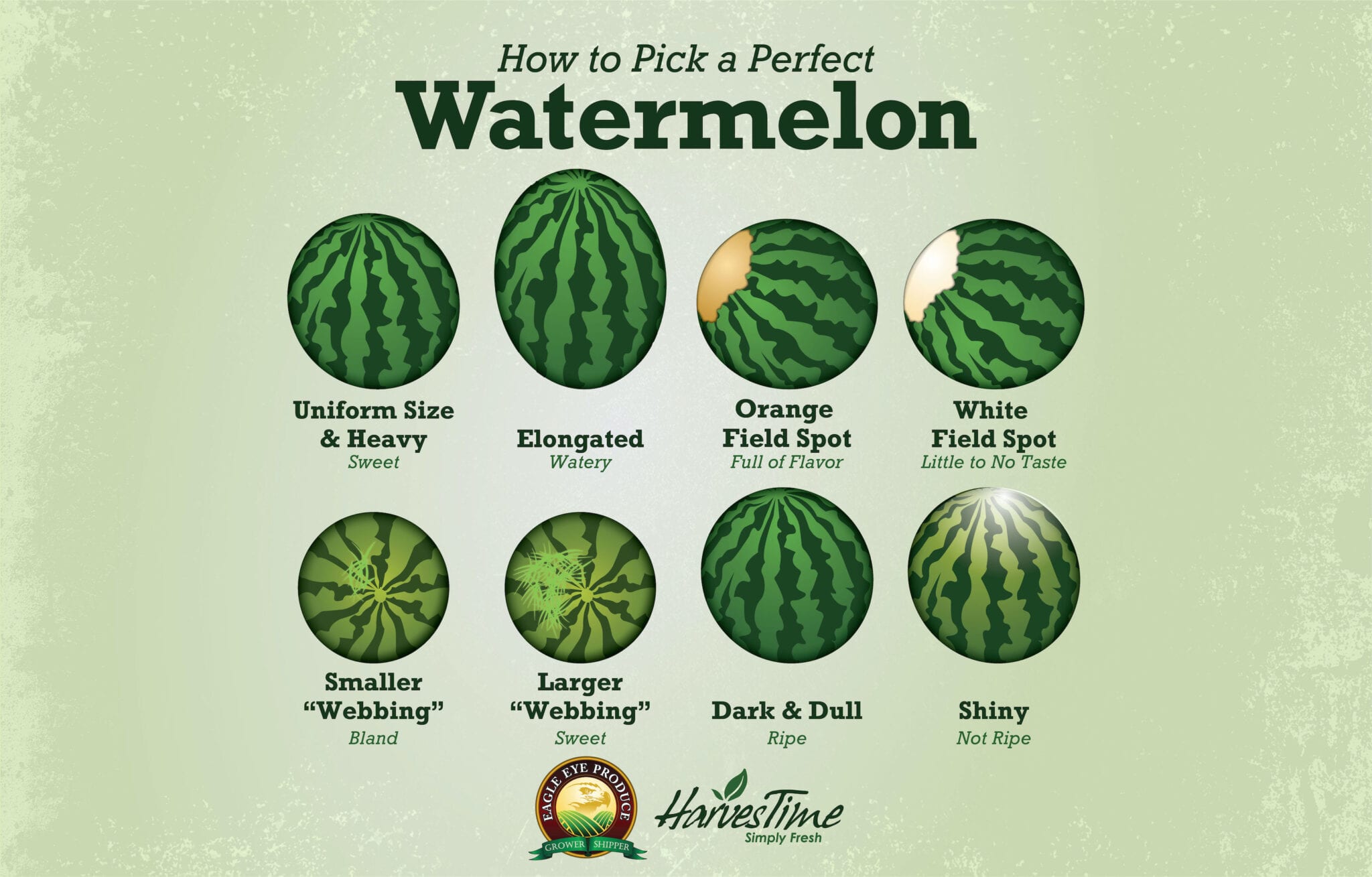 4 Ways to Tell if Your Watermelon Is Ripe