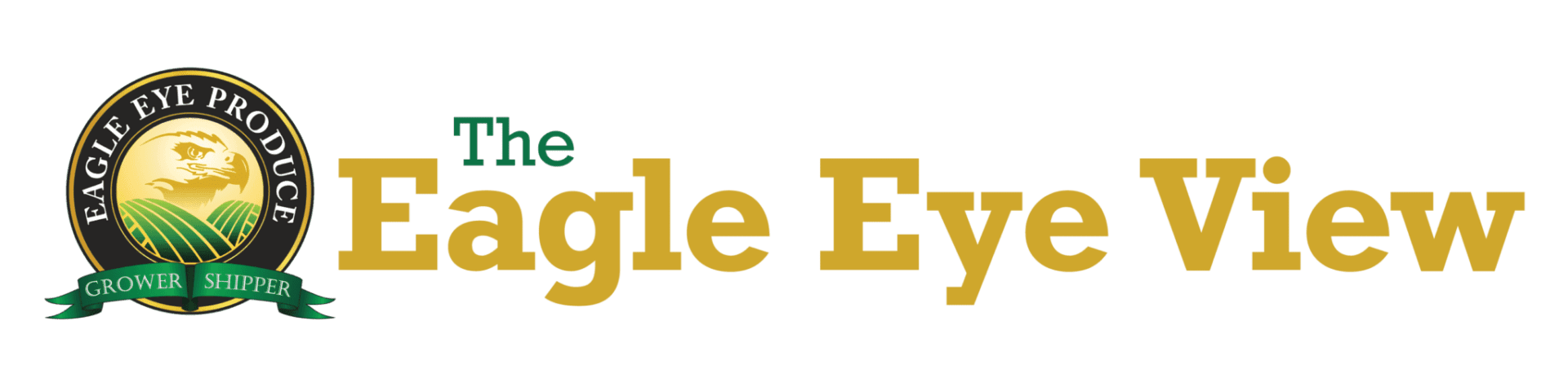 Ealge Eye View Logo