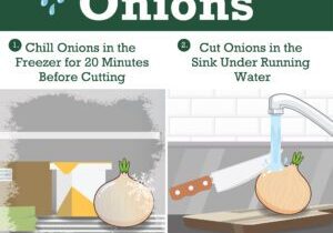 Tear Free Guide to Cutting Onions